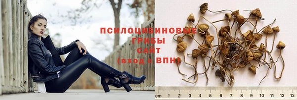 дурь Алексин