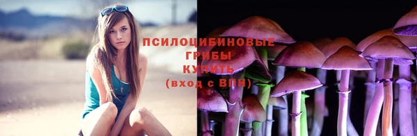дурь Алексин