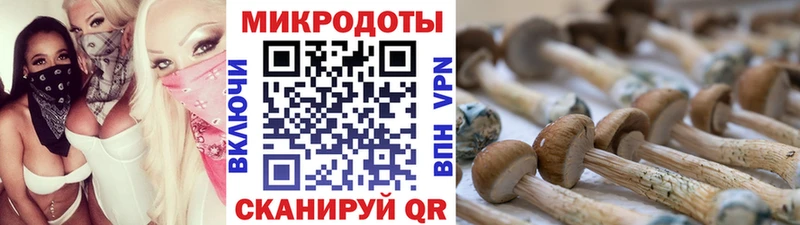 Псилоцибиновые грибы Cubensis  как найти закладки  Каменка 