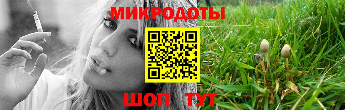 Псилоцибиновые грибы Psilocybe Каменка